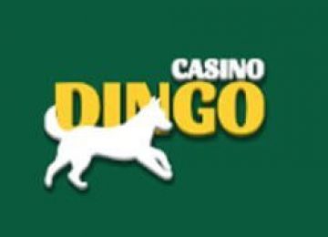 Casino Dingo